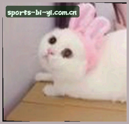 周燕